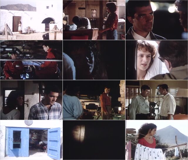 Contra el viento (1990) HD Preview