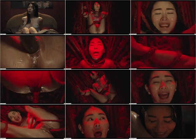 23 11 17 Rikako Katayama Gelatinous Odyssey XXX 1080p Preview