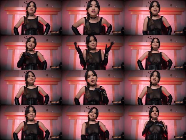 HUMILIATED DOG HD Preview